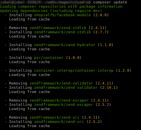 Ejecución de composer update