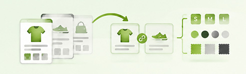 Migrating catalogue and variants to Shopify