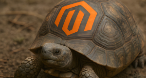 Magento lento?